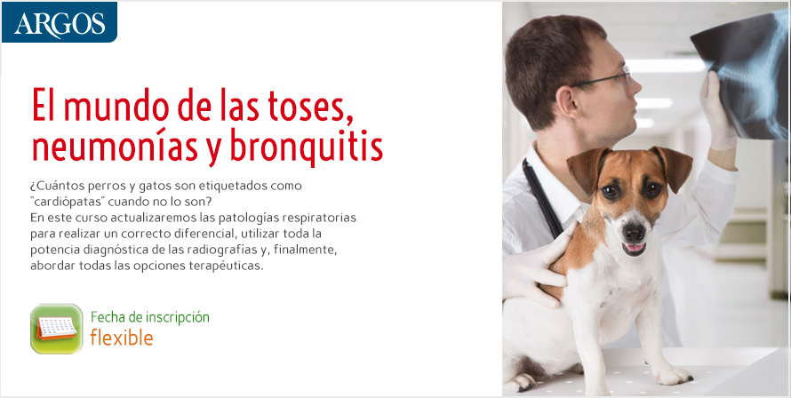 neumonia_bronquitis_auto_2017