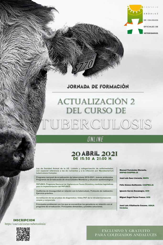 tuberculosis cacv