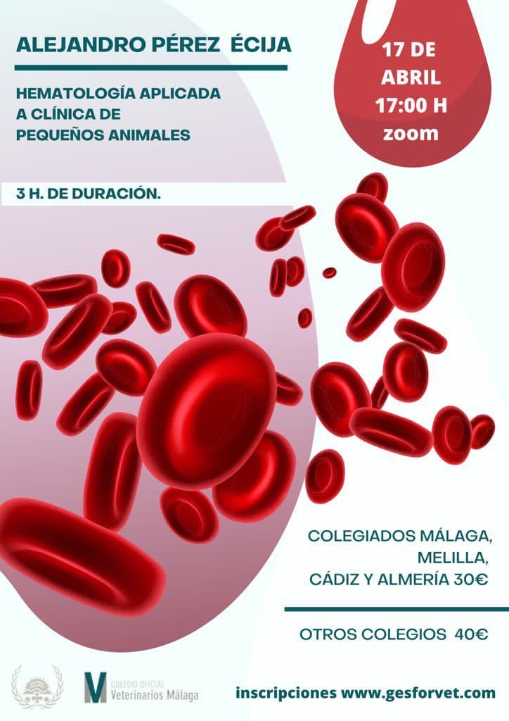 hematologia