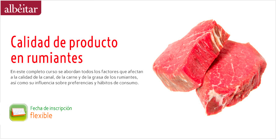 calidad rum