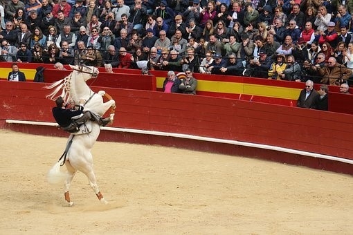 taurino