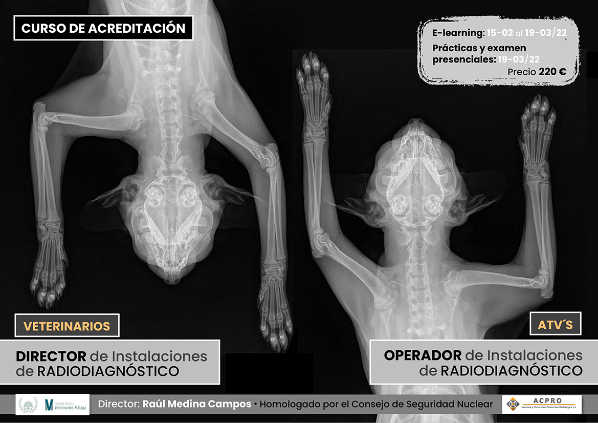 CARTEL ACREDITACION RADIODIAG