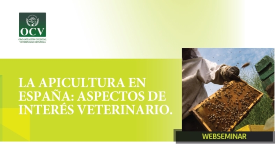 apicultura