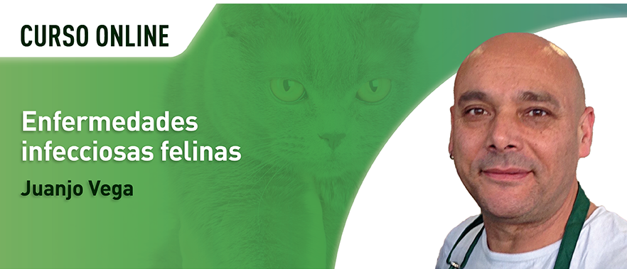 enf infecciosas felinas