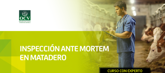 inspeccion ante mortem