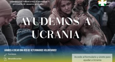 AyudaUcrania