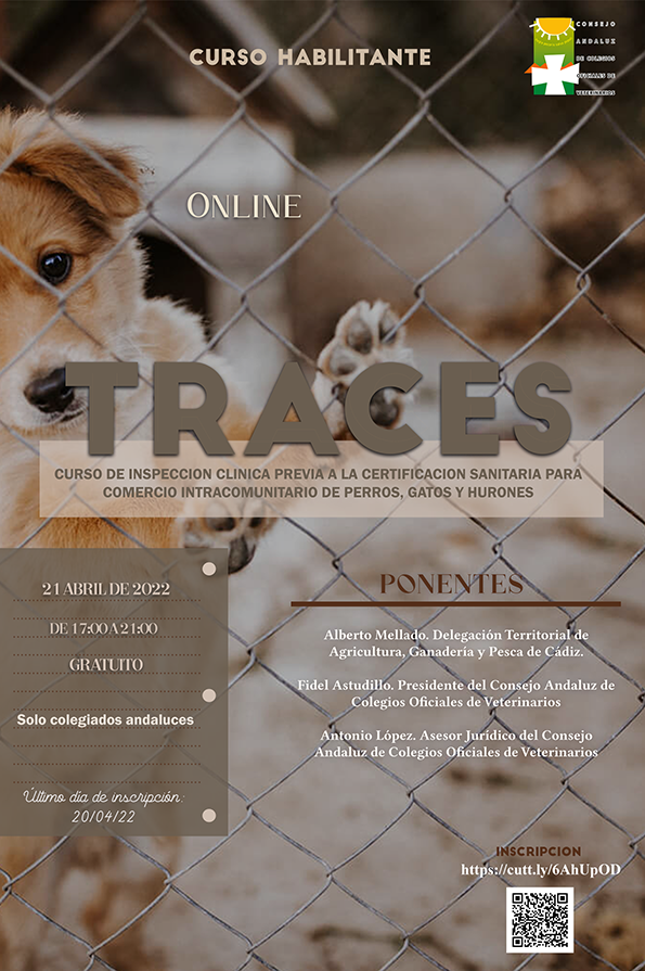 Traces Online