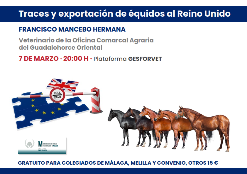 Traces y Exportación de Equidos