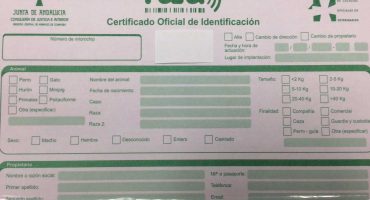 certificado-identificacion-mascota