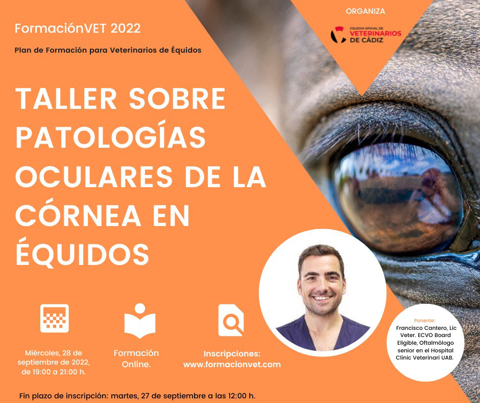 Cartel oftalmo 2