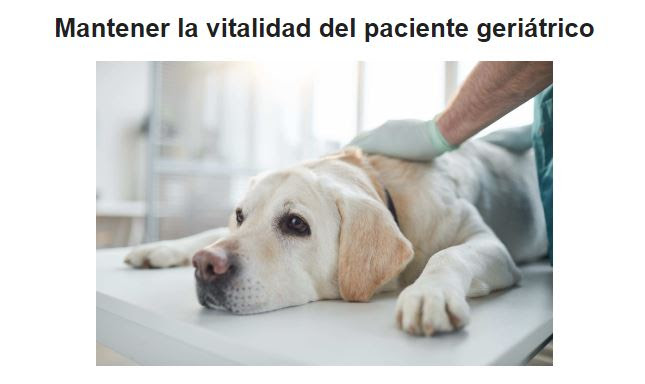 Nutricion Ortomolecular