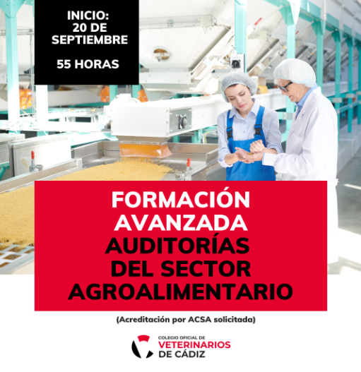formacion avanzada
