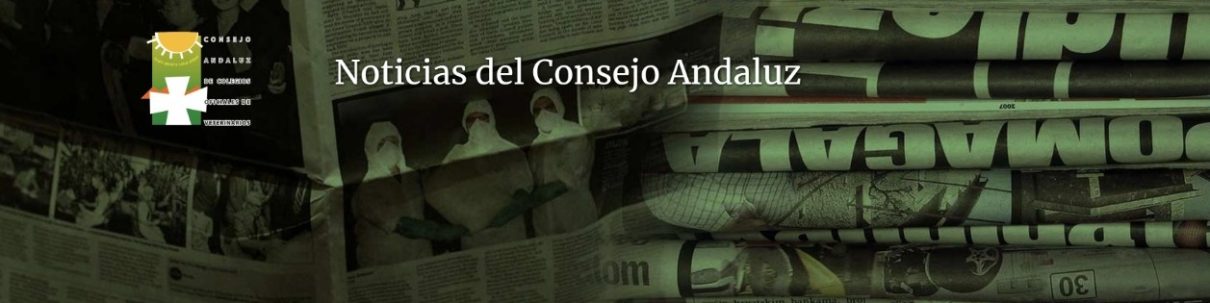 Noticias Consejo Andaluz