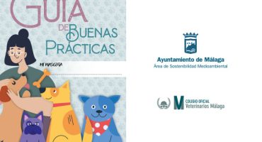 portada-guia-buenas-practicas