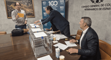 De Luque consejero permanente OCVE