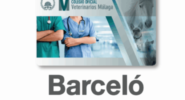 Convenio renovado barcelo