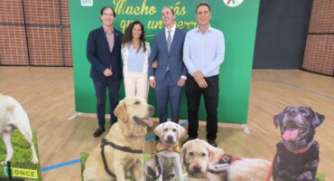 WhatsApp Image 2025-11-14 at 19.13.42